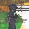 Logo of telegram channel ogermullenchatbroadcast — Altschauerberg Mafia Broadcast
