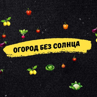 Логотип телеграм канала @ogorod_bez_solnca — Огород без солнца