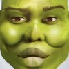 Logo of telegram channel ogreonton — $OGRE on TON