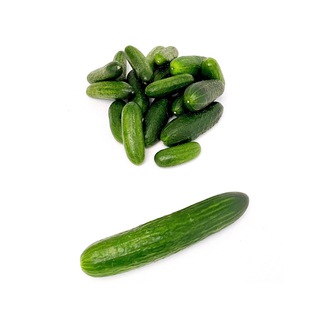 Логотип телеграм канала @ogrtzauthors — 🥒🙋🏻‍♂️ / огуречные авторы