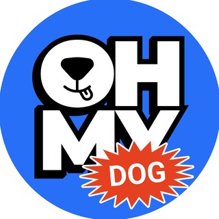 Telegram channel OH MY DOG! logo