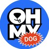 Логотип телеграм канала @oh_my_dog — OH MY DOG!