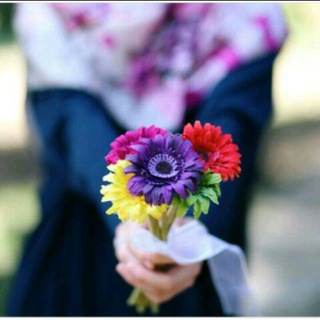 Logotipo del canal de telegramas ohafsao - حكايه ملتزمه💞