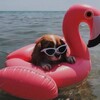 Логотип телеграм канала @ohlalapoussiere — собственность стилиста | la poussière