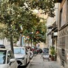 Логотип телеграм канала @ohmybelgrade — Oh my Belgrade