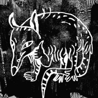 Логотип телеграм канала @ohotnig — Magnum Opossum