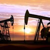 Logo of telegram channel oilgame — OIL NEWS