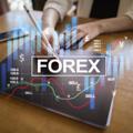Telegram kanalining logotibi oilmoneyforextraining — OIL MONEY FOREXTRAINING COURS FREE