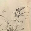 Логотип телеграм канала @oisilon — 𝙤𝙝.. 𝙘𝙖𝙧𝙖 𝙢𝙞𝙖.