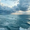 Telegram kanalining logotibi okean_kanalim — 🌊 𝗢𝗸𝗲𝗮𝗻 🐚