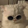 Логотип телеграм канала @okluvkek — кто мы