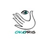 Логотип телеграм канала @okoris_ru — ОКОРИС глазное протезирование