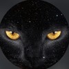 Логотип телеграм канала @oksabinasabina — Обаяние лунного света