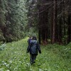 Логотип телеграм канала @oksumay — Солнечные дни
