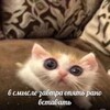 Логотип телеграм канала @oktinustgk — нуу, уже может хватит уже