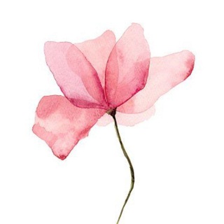 Логотип телеграм канала @olalaflowerss — Букетная Olala Flowerss 🌺