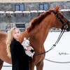 Логотип телеграм канала @olesya_kosareva_equestrian — Конный спорт с Олесей Косаревой