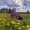 Логотип телеграм канала @olga_valstsvetov — Олин_Дворик_Огород_Дача_Цветы🌻🌻🌻