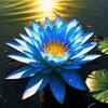 Логотип телеграм канала @olgaolga1681681681 — Эзотерические, но проверенные на опыте секреты здоровья и психологии