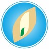 Логотип телеграм канала @olgimnaz — АНОО "Ольгинская гимназия"