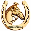 Логотип телеграм канала @olinikoni — Конные прогулки на Алтае