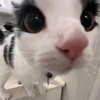Логотип телеграм канала @oll0wq1 — привыкни ко мне заново