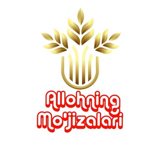 Telegram kanalining logotibi olloxningmojizalari — Allohning mo'jizalari | Miracles of Allah