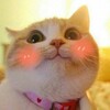 Логотип телеграм канала @olyab_and_humor — Оля б. нервно шутит