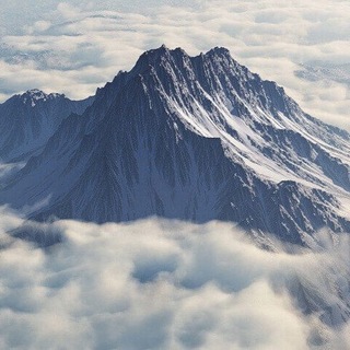 Логотип телеграм канала @olympicdiplom — Поступи на Бюджет