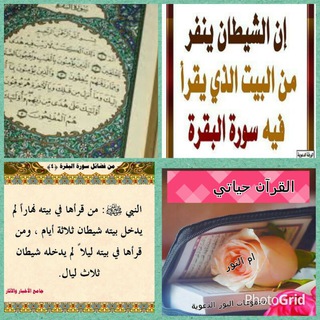 لوگوی کانال تلگرام omanoorqh — القرآن حياتي 💖(الفتوحات النورانية)💖للنساء يمنع دخول الرجال
