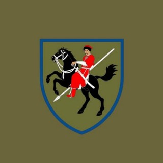 Логотип телеграм -каналу ombr_110 — 110 ОМБр