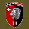 Логотип телеграм -каналу ombr63 — 63 бригада | СТАЛЕВІ ЛЕВИ