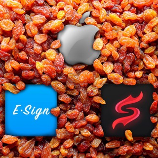 Логотип телеграм канала @omg_file — OMG | Apple, IPA файлы, Scarlett, Esign