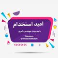 የቴሌግራም ቻናል አርማ omidestekhdam — امید استخدام◀مهندس بامری