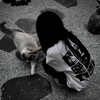 Логотип телеграм канала @ona10izzz10 — она 10/10