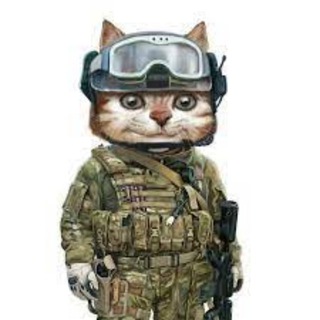 Логотип телеграм канала @one_cat_daily — one_cat_daily 🇺🇦