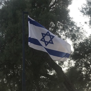 Логотип телеграм канала @onedayinisrael — Daniel on the train