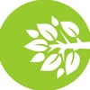 Логотип телеграм канала @onegreen — 🌱Chia Network | Новости - onegreen.pro