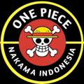 Logo saluran telegram onepiecenakamaindonesia — ONE PIECE SUB INDO🌍