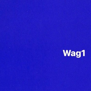 Логотип телеграм канала @onewagone — Wag1