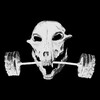 Логотип телеграм канала @oniogr — ONIOGR Культ силы «1👑»