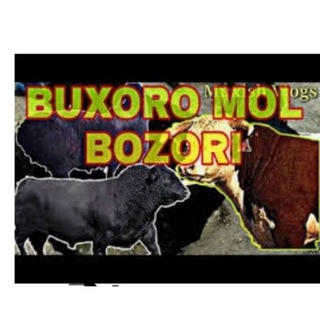 Telegram kanalining logotibi onlaynmolbozorbux — BUXORO MOL BOZORI