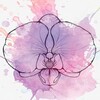 Логотип телеграм канала @online_greenhouse — Онлайн оранжерея🌿