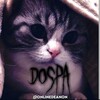 Логотип телеграм канала @onlinedeanon — Dospa ♥_*l٥ﻻ_ﻉ√٥υ*_♥ team