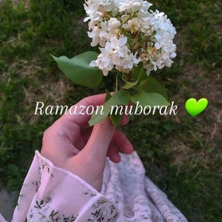 Логотип телеграм канала @only_girls88 — 🦋💙ᴏɴʟy_ɢɪʀʟ❤🐞