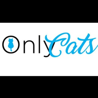 Logotipo del canal de telegramas onlycats - 𝔾𝕒𝕥𝕠𝕤 😻 ℂ𝕒𝕥𝕤 🐈‍⬛