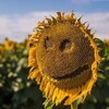 Логотип телеграм канала @onlylumen_mc — Lumenias