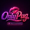 لوگوی کانال تلگرام onlypug — - 𝗢𝗻𝗹𝘆𝗣𝘂𝗴