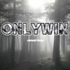 Логотип телеграм канала @onlywinnewso2 — OnlyWin | Технологии