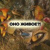 Логотип телеграм канала @onogyvoe — Оно живое?!